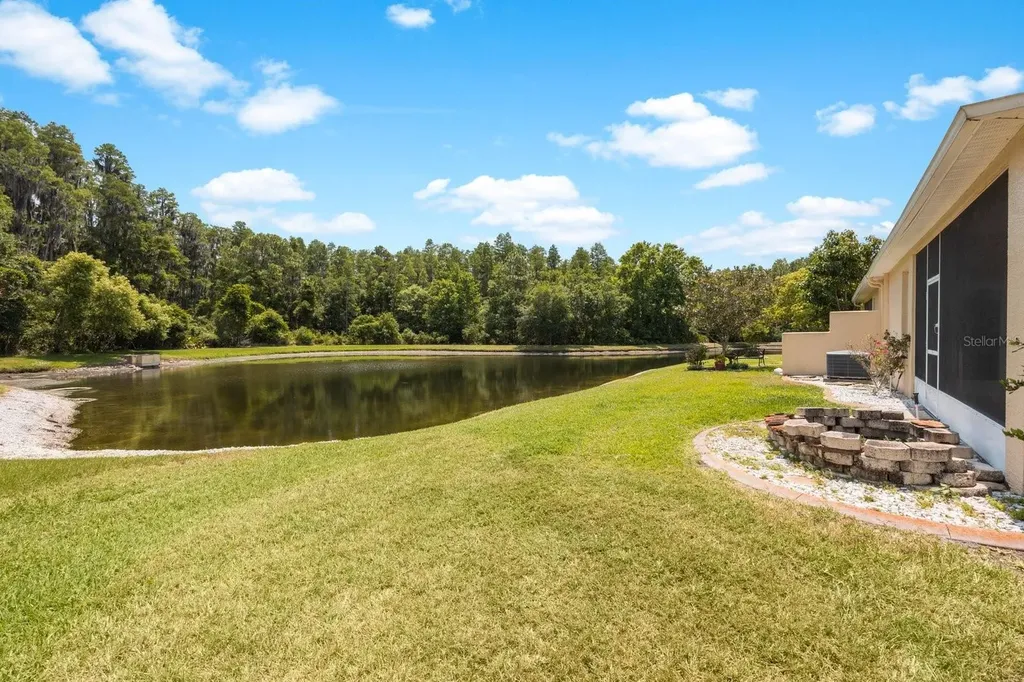 30315 Lettingwell Circle Wesley Chapel FL 33543