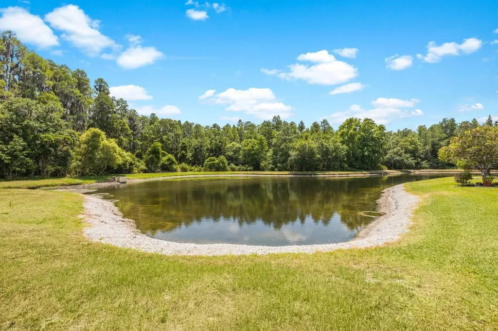 30315 Lettingwell Circle Wesley Chapel FL 33543