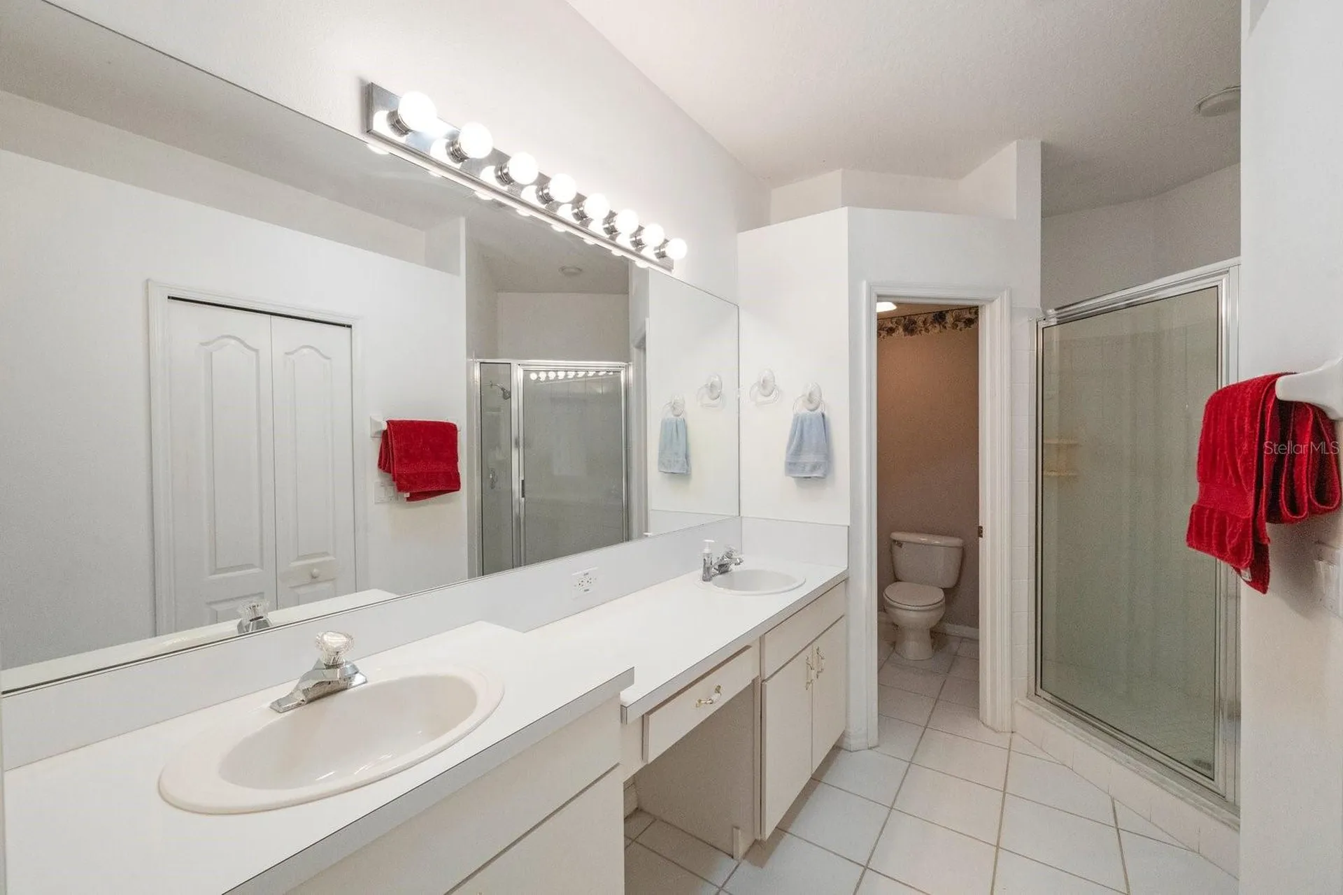 30315 Lettingwell Circle Wesley Chapel FL 33543