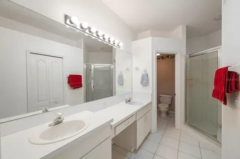 30315 Lettingwell Circle Wesley Chapel FL 33543