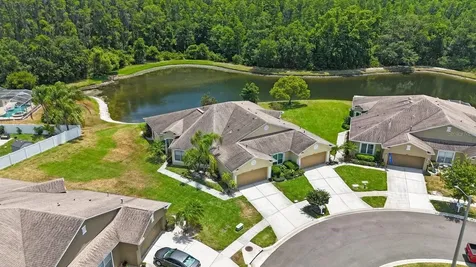 30315 Lettingwell Circle Wesley Chapel FL 33543