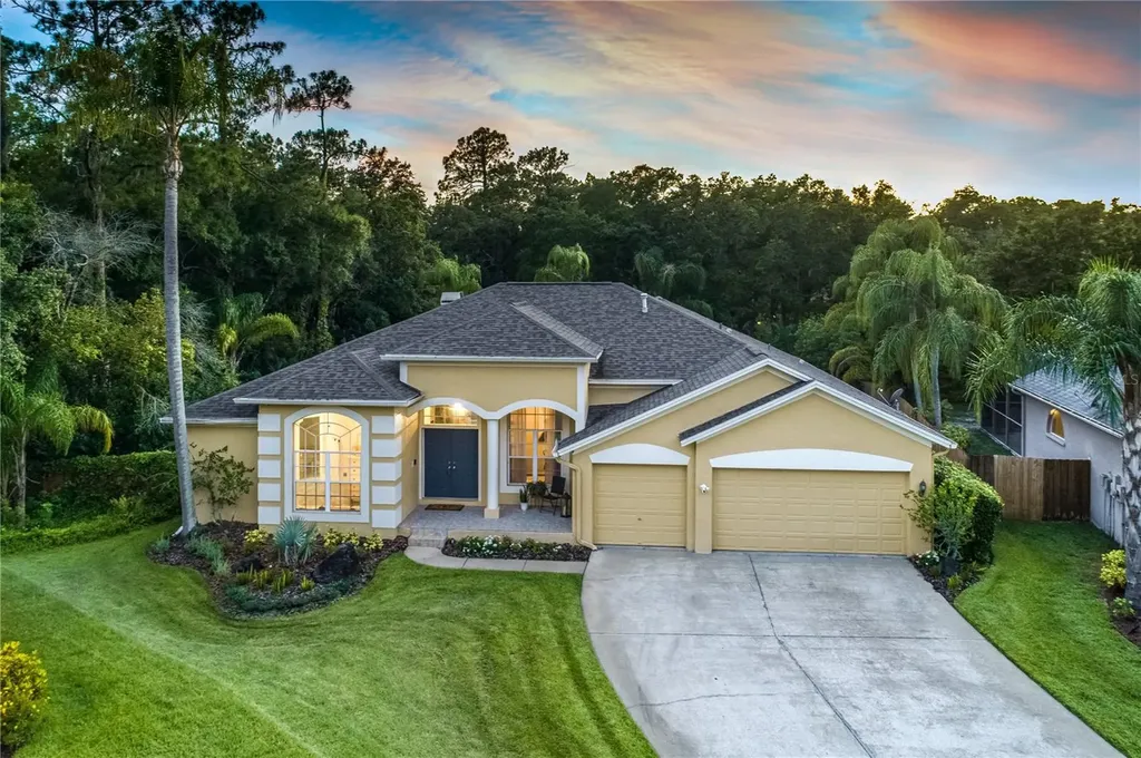 10612 Chambers Drive Tampa FL 33626