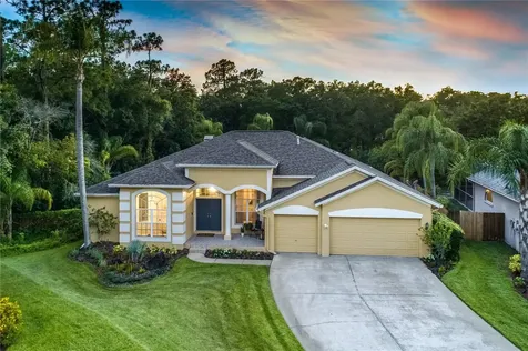 10612 Chambers Drive Tampa FL 33626