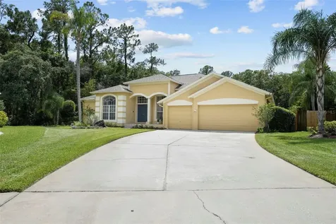 10612 Chambers Drive Tampa FL 33626