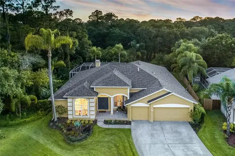 10612 Chambers Drive Tampa FL 33626