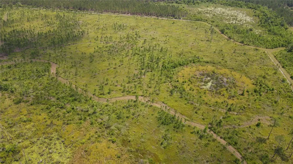 0 County Road 225 Waldo FL 32694