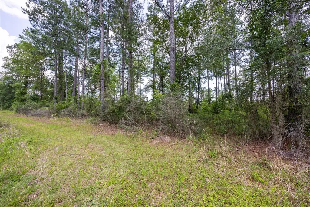 0 County Road 225 Waldo FL 32694