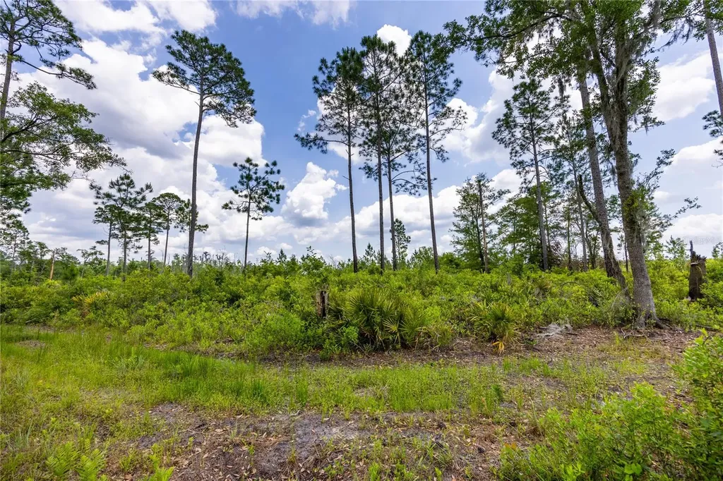 0 County Road 225 Waldo FL 32694