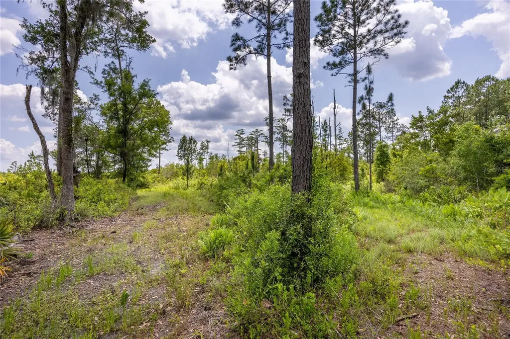0 County Road 225 Waldo FL 32694