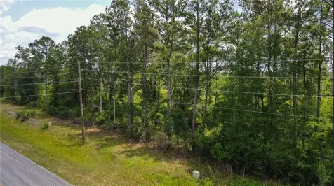 0 County Road 225 Waldo FL 32694