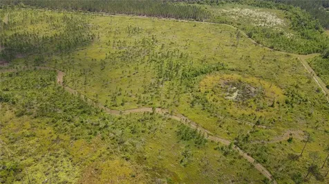 0 County Road 225 Waldo FL 32694