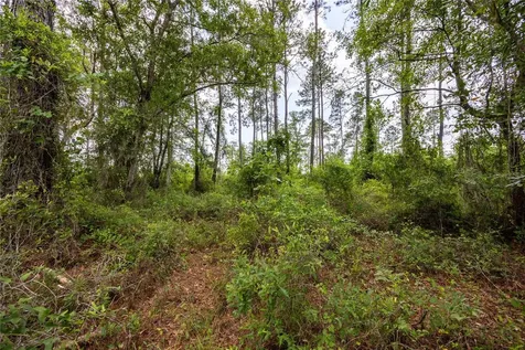 0 County Road 225 Waldo FL 32694