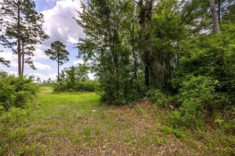 0 County Road 225 Waldo FL 32694