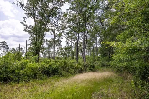 0 County Road 225 Waldo FL 32694
