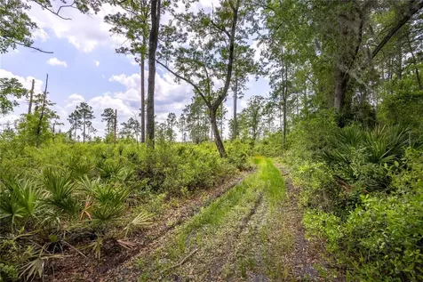0 County Road 225 Waldo FL 32694