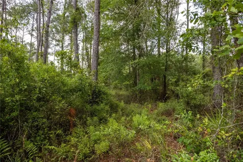 0 County Road 225 Waldo FL 32694