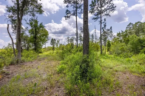 0 County Road 225 Waldo FL 32694