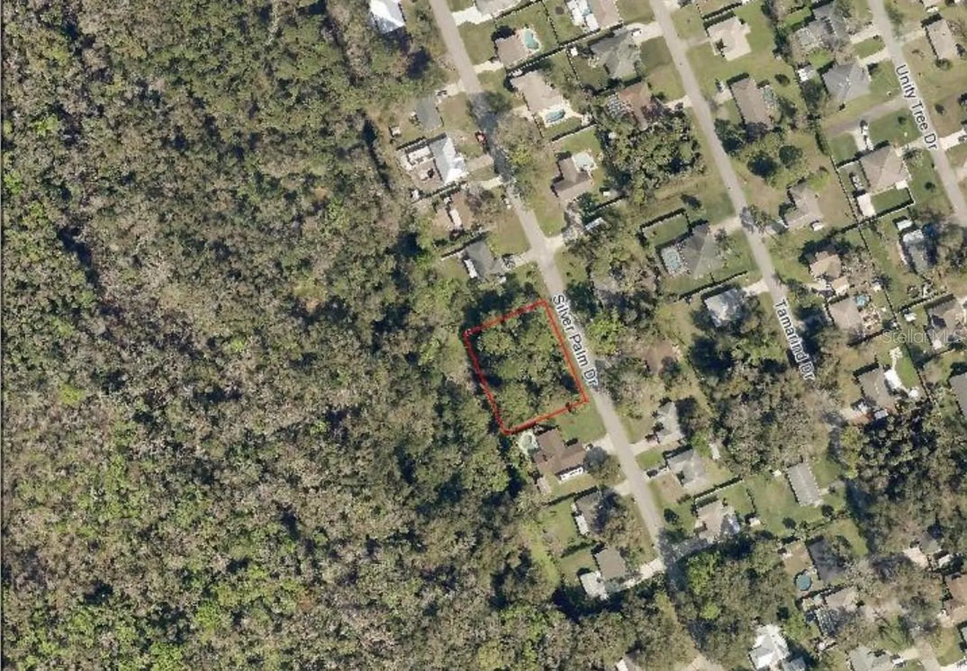 Silver Palm Drive Edgewater FL 32141