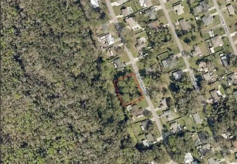 Silver Palm Drive Edgewater FL 32141