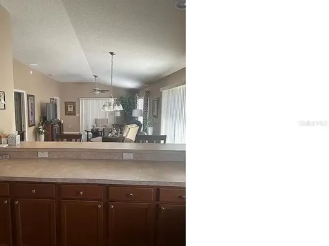2355 Arbordale Avenue The Villages FL 32162