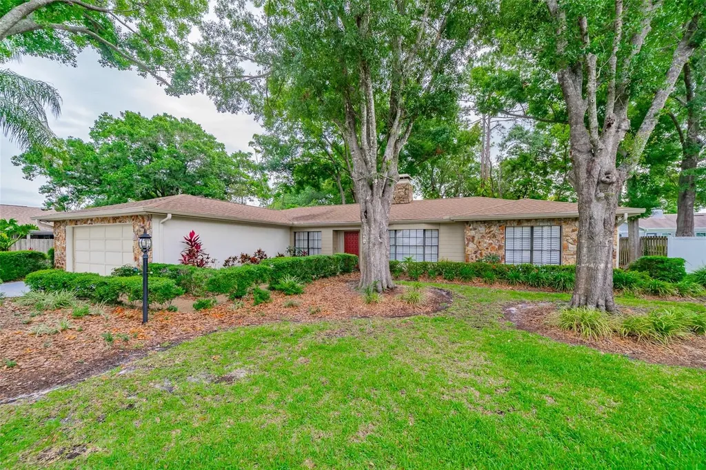 11905 Trevino Place Tampa FL 33624