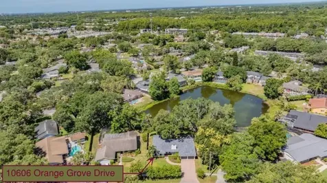 10606 Orange Grove Drive Tampa FL 33618