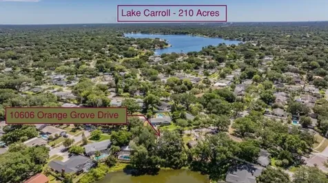 10606 Orange Grove Drive Tampa FL 33618