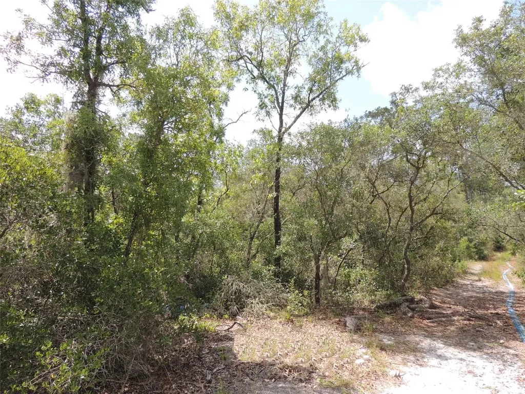 5551 SW 103rd Court Cedar Key FL 32625