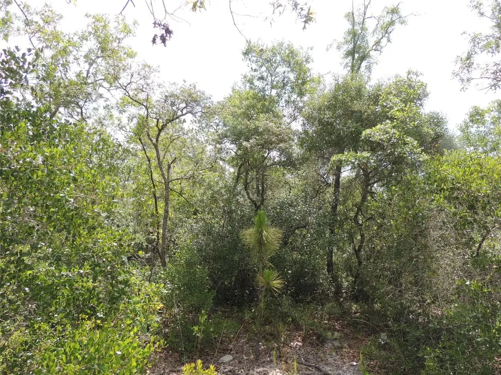 5551 SW 103rd Court Cedar Key FL 32625