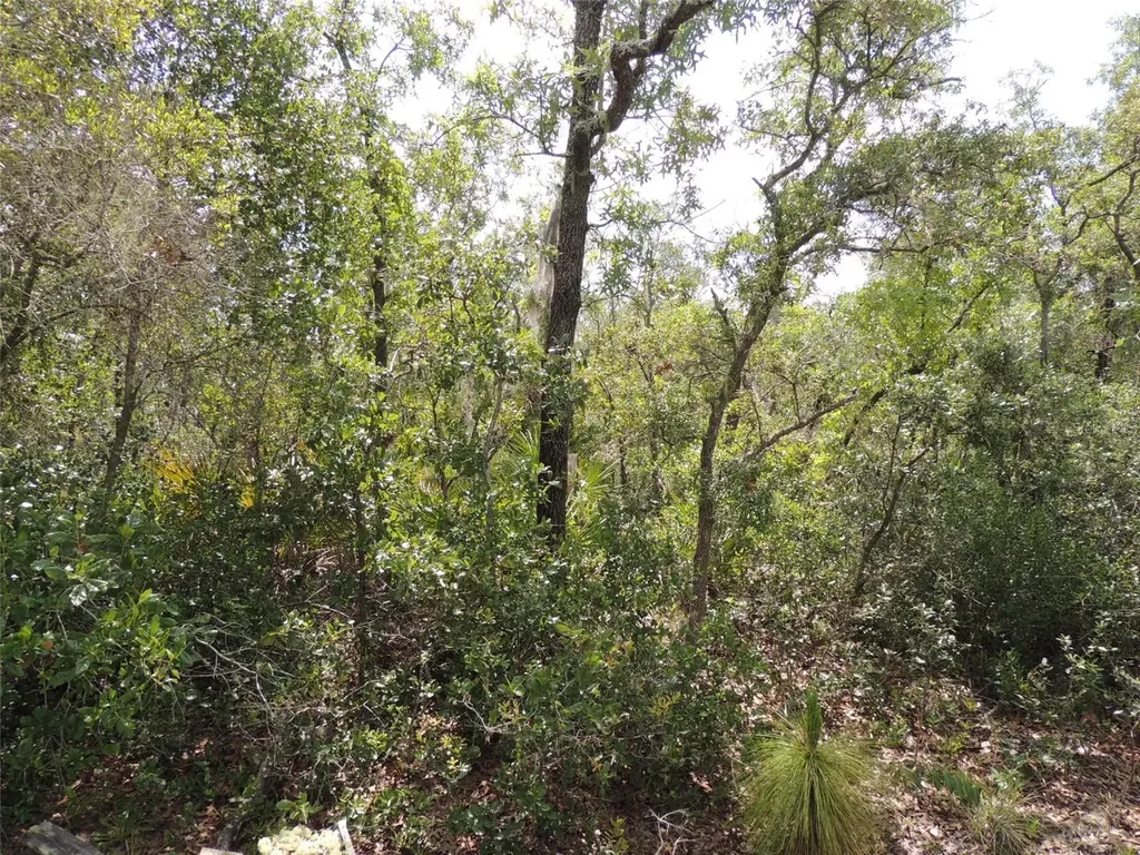 5551 SW 103rd Court Cedar Key FL 32625