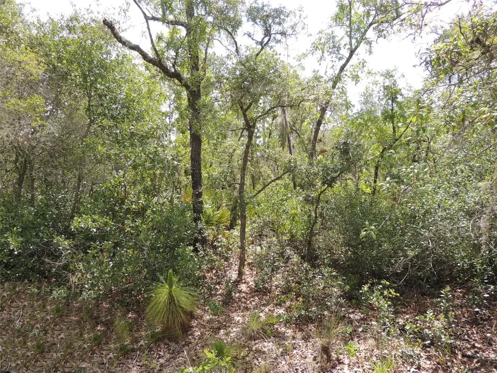 5551 SW 103rd Court Cedar Key FL 32625