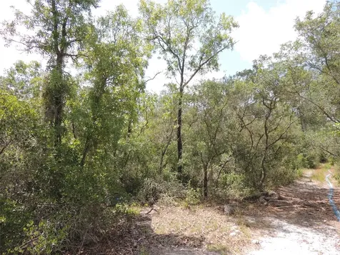 5551 SW 103rd Court Cedar Key FL 32625