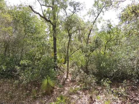 5551 SW 103rd Court Cedar Key FL 32625