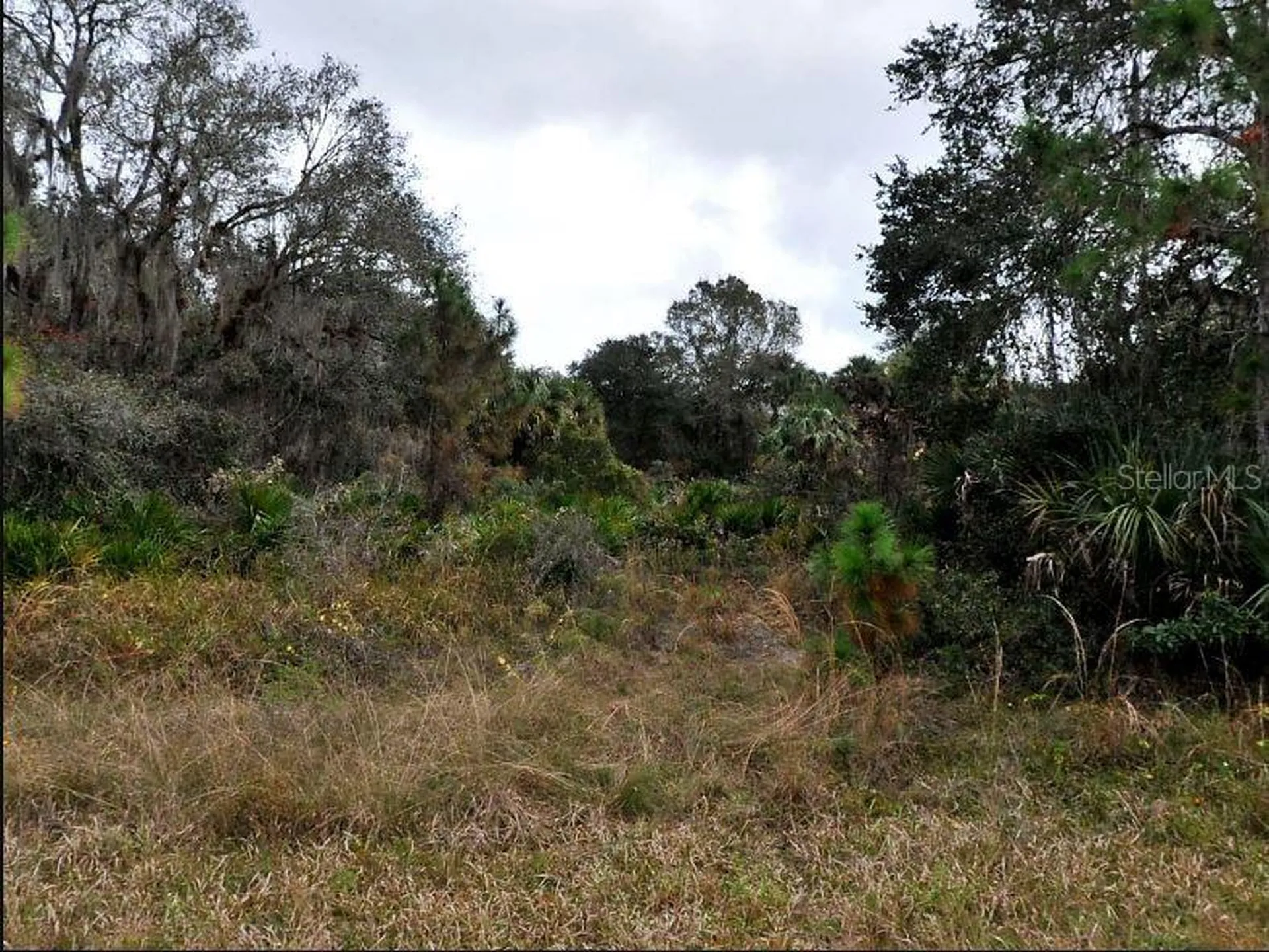 Delmar Drive North Port FL 34291