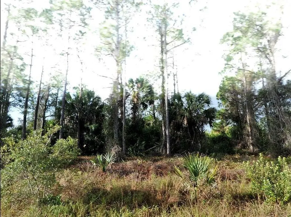 Blueleaf Drive North Port FL 34288