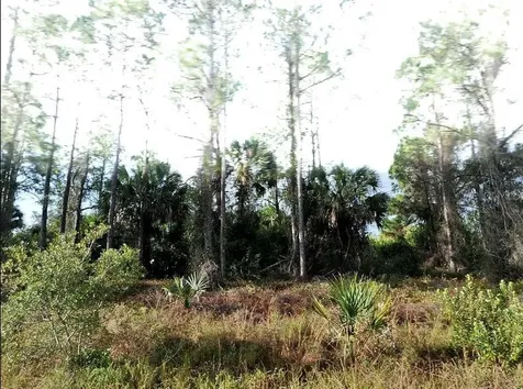 Blueleaf Drive North Port FL 34288
