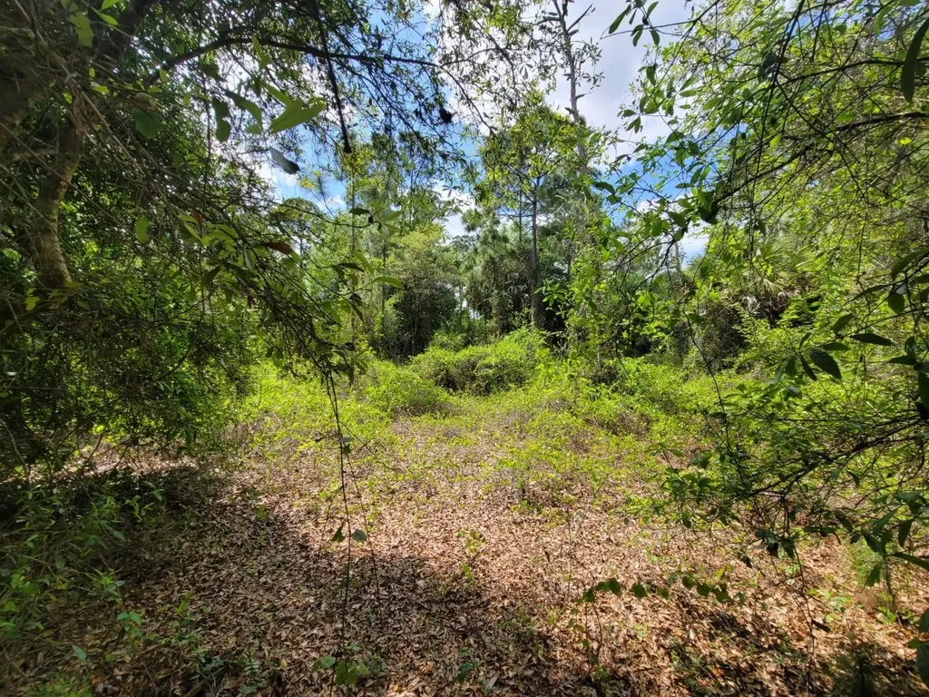 421 Avenida Del Sur Clewiston FL 33440