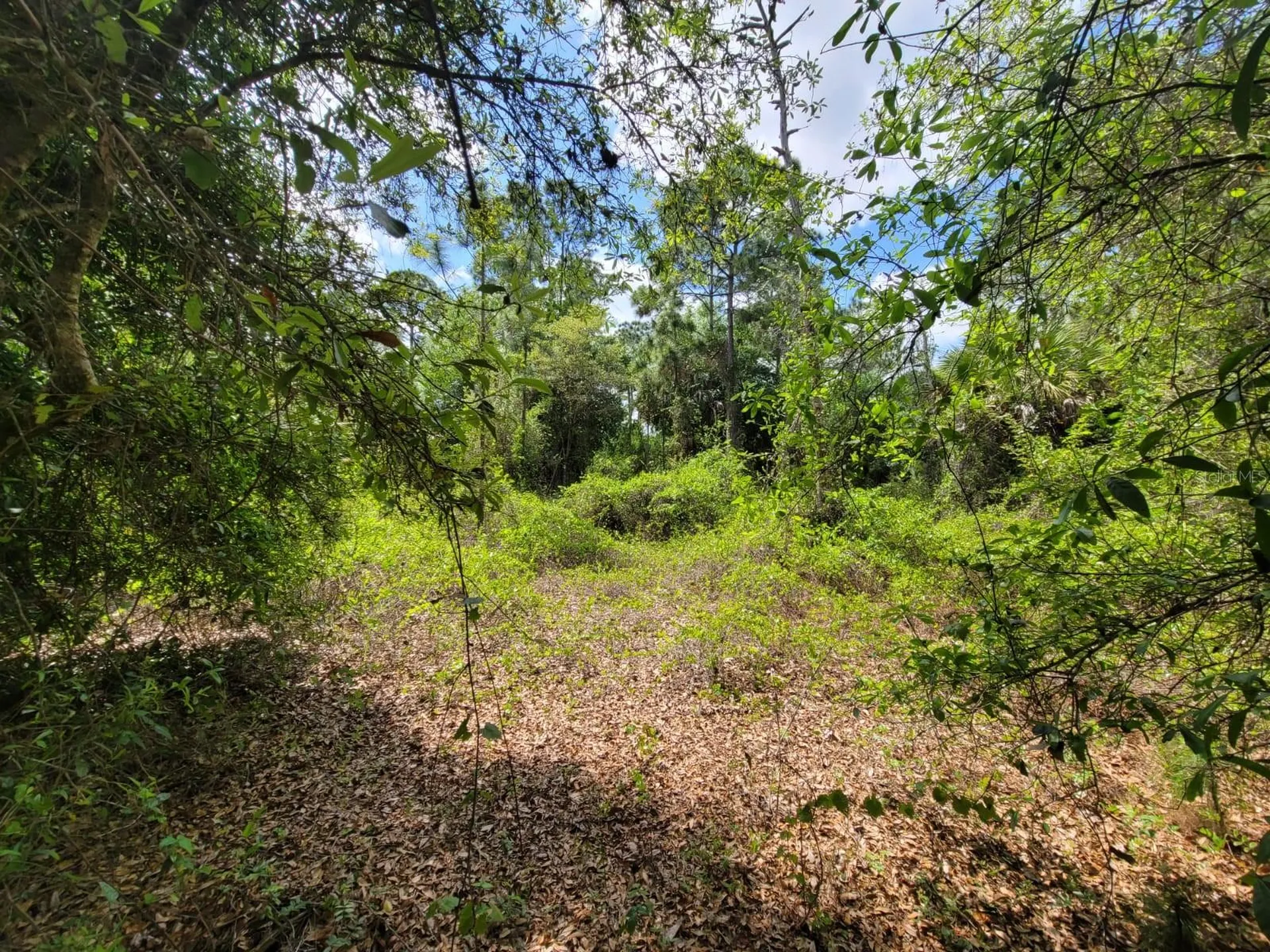 421 Avenida Del Sur Clewiston FL 33440
