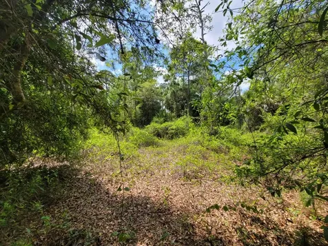 421 Avenida Del Sur Clewiston FL 33440