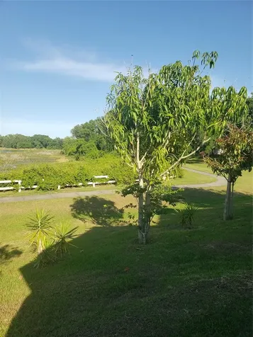 312 Anorak Street Groveland FL 34736