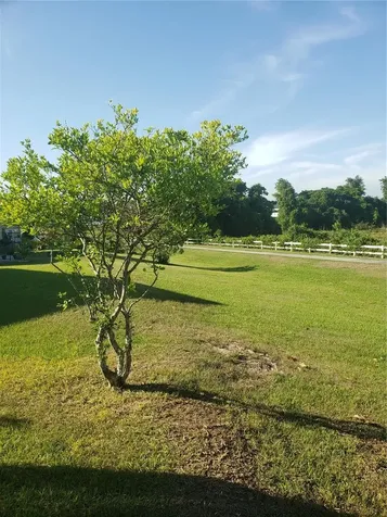 312 Anorak Street Groveland FL 34736