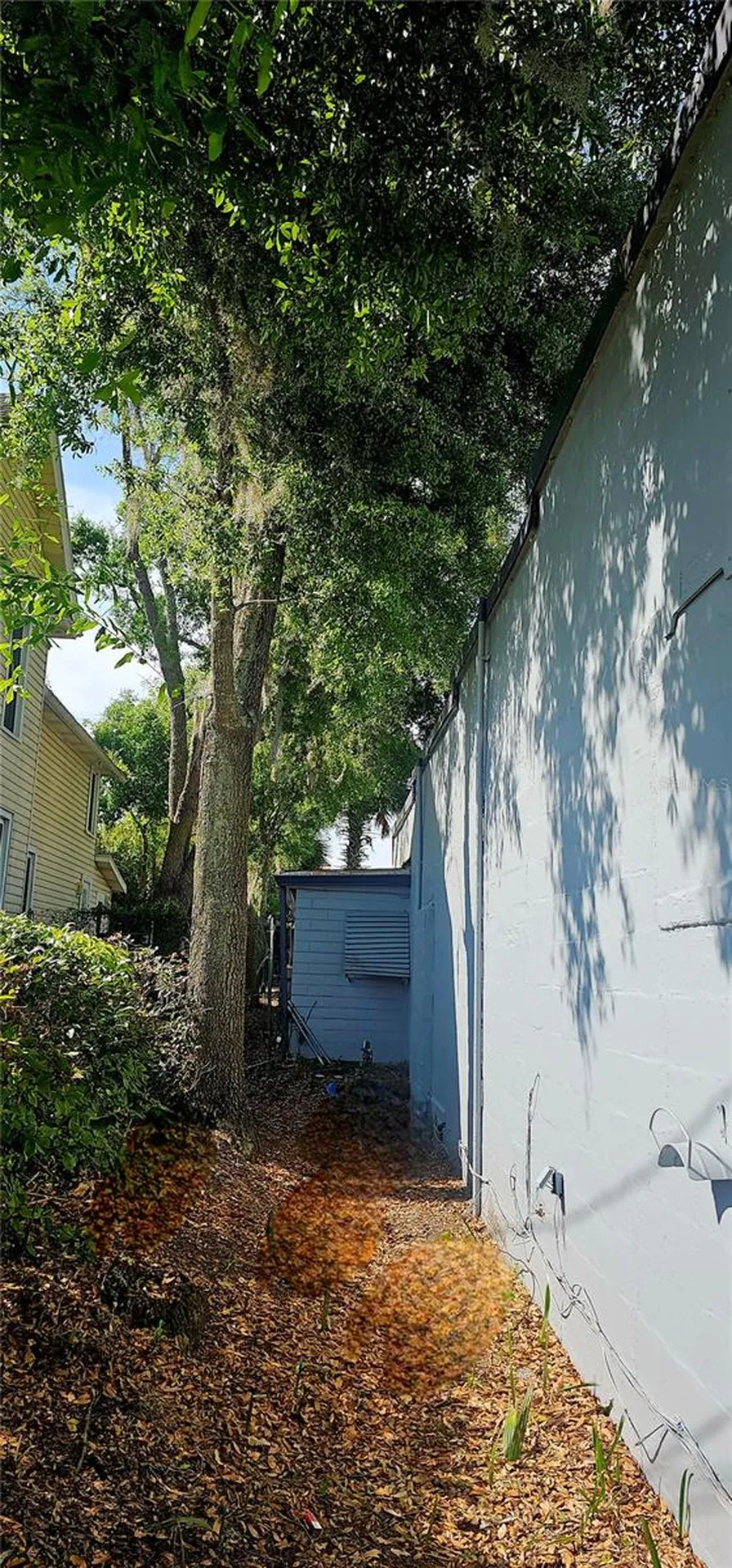 114 E Rich Avenue Deland FL 32724