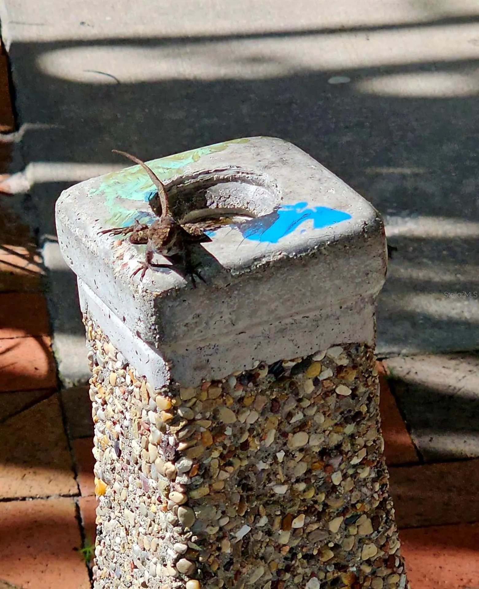 114 E Rich Avenue Deland FL 32724