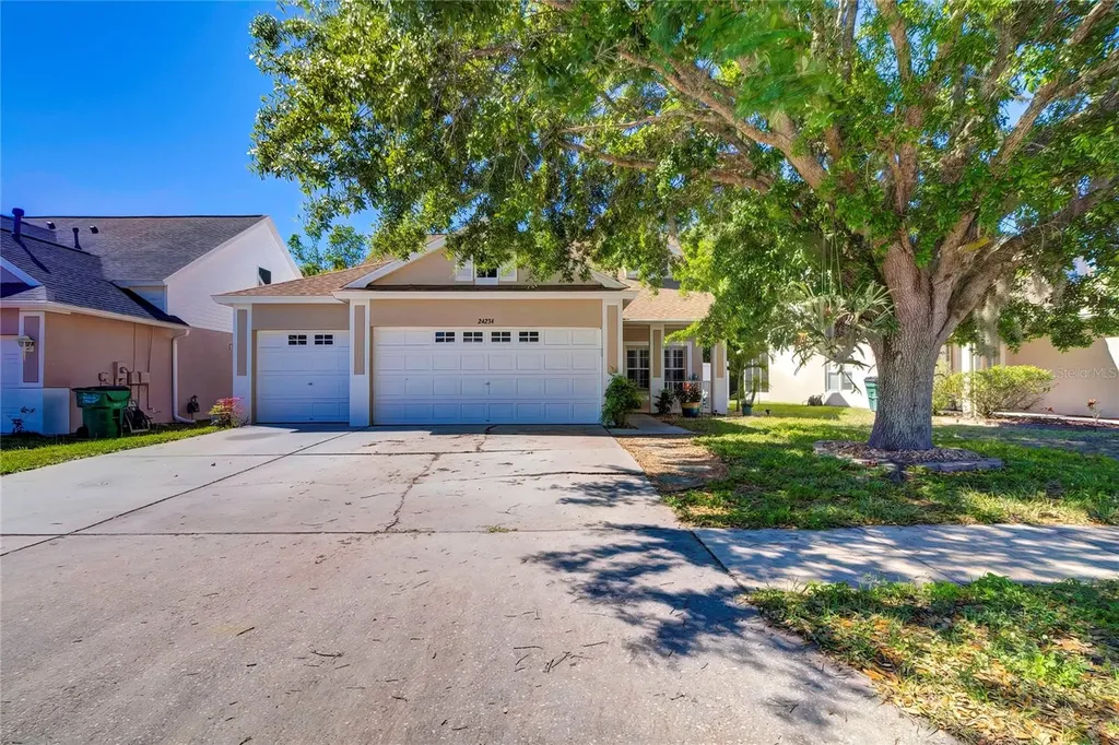 24234 Denali Court Lutz FL 33559