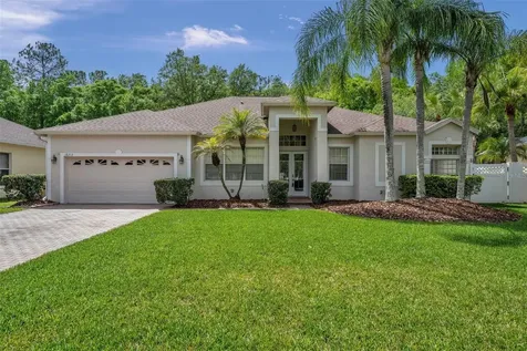 16313 Ashington Park Drive Tampa FL 33647