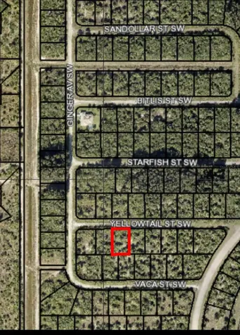 870 Yellowtail Street SW Palm Bay FL 32908