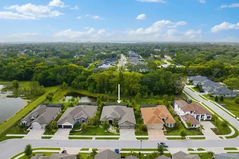 874 Bee Branch Court Palm Harbor FL 34683