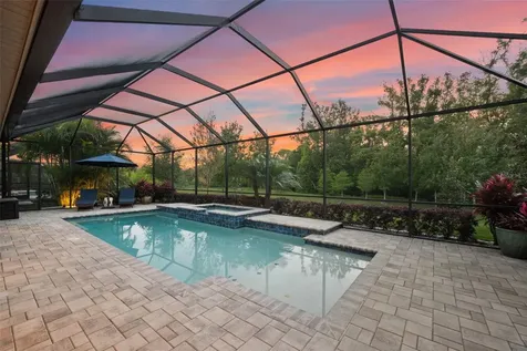 874 Bee Branch Court Palm Harbor FL 34683