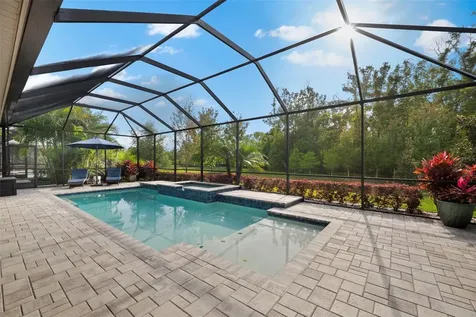 874 Bee Branch Court Palm Harbor FL 34683