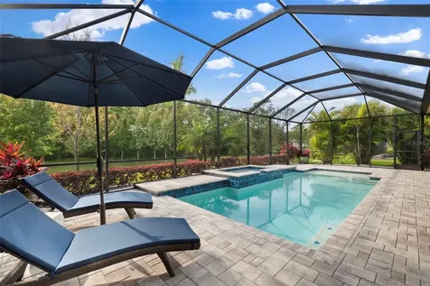 874 Bee Branch Court Palm Harbor FL 34683